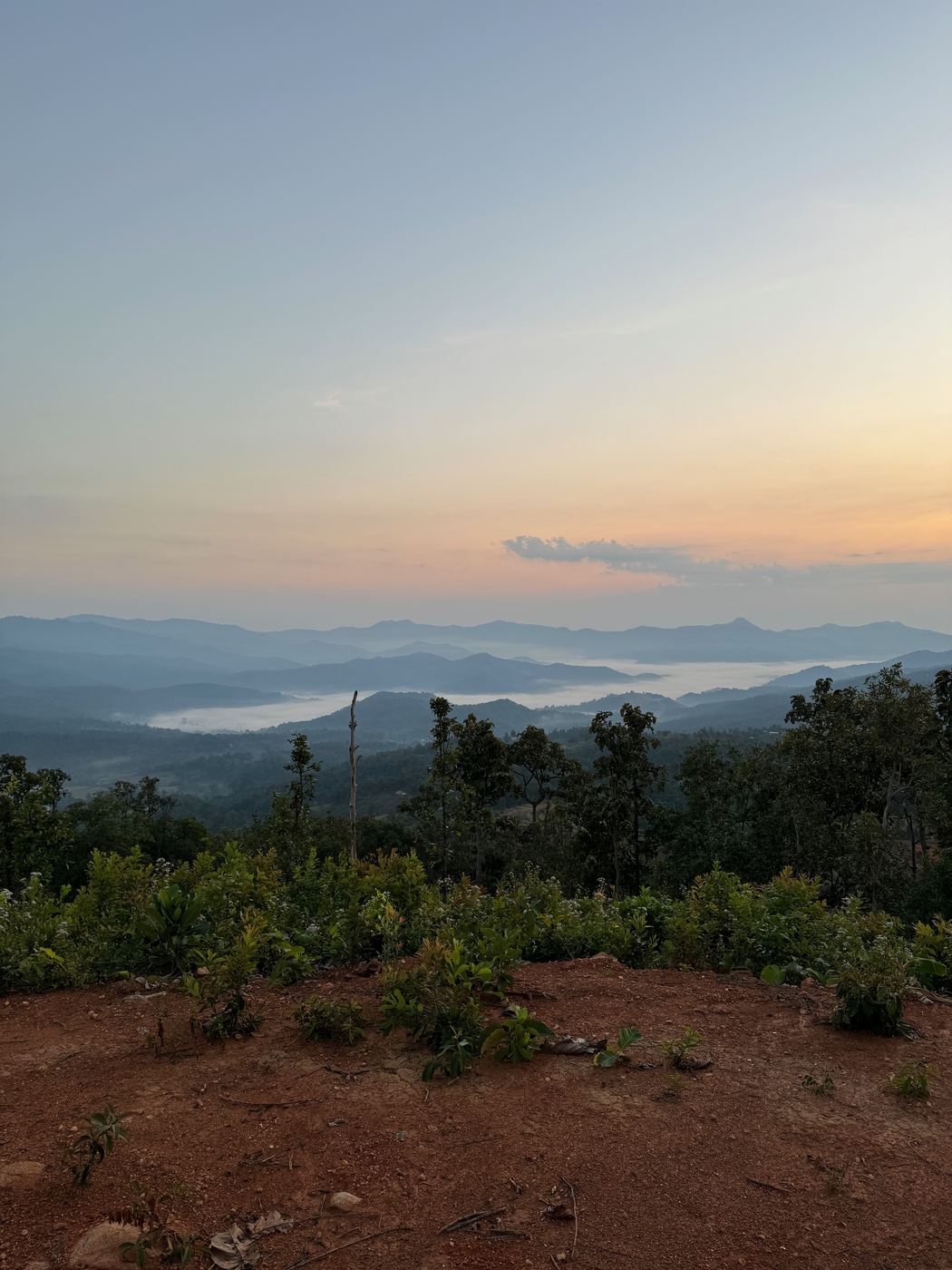 Pastel sky over a sea of clouds and layered mountain ridges